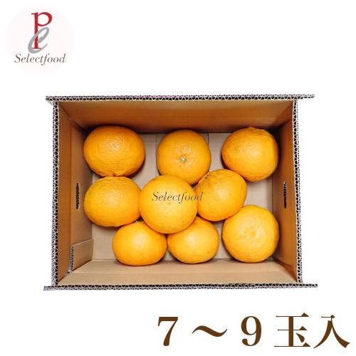 甘夏みかん 無農薬 黒柳さんちの甘夏みかん あまなつ 静岡三ケ日 3.5
