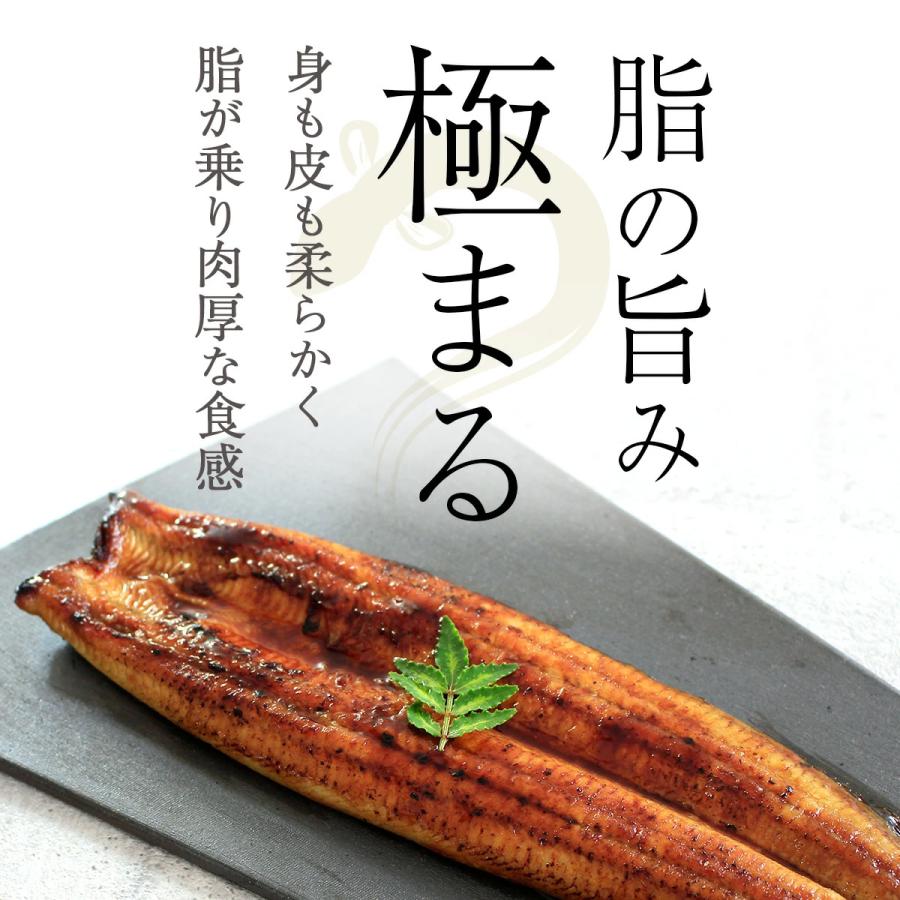 でしこ うなぎ 蒲焼き 国産 3尾 浜名湖産うなぎの蒲焼 手焼き鰻 送料無料 海鮮 鰻 ギフト 食べ物 父の日 お中元 土用の丑 お取り寄せ グルメ セット 爆買_2