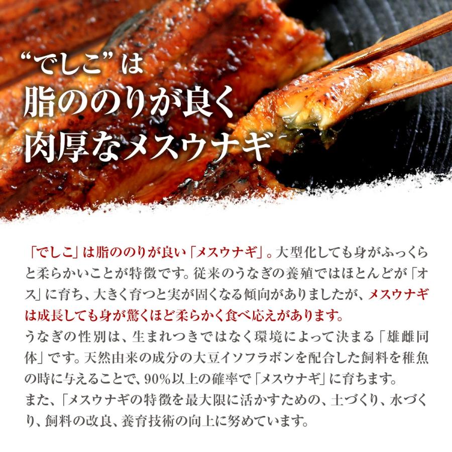 でしこ うなぎ 蒲焼き 国産 3尾 浜名湖産うなぎの蒲焼 手焼き鰻 送料無料 海鮮 鰻 ギフト 食べ物 父の日 お中元 土用の丑 お取り寄せ グルメ セット 爆買_4