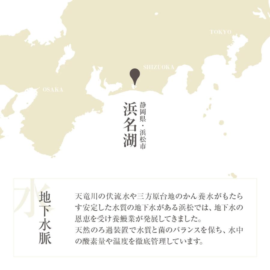 でしこ うなぎ 蒲焼き 国産 3尾 浜名湖産うなぎの蒲焼 手焼き鰻 送料無料 海鮮 鰻 ギフト 食べ物 父の日 お中元 土用の丑 お取り寄せ グルメ セット 爆買_7
