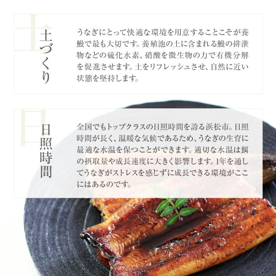 でしこ うなぎ 蒲焼き 国産 3尾 浜名湖産うなぎの蒲焼 手焼き鰻 送料無料 海鮮 鰻 ギフト 食べ物 父の日 お中元 土用の丑 お取り寄せ グルメ セット 爆買_8