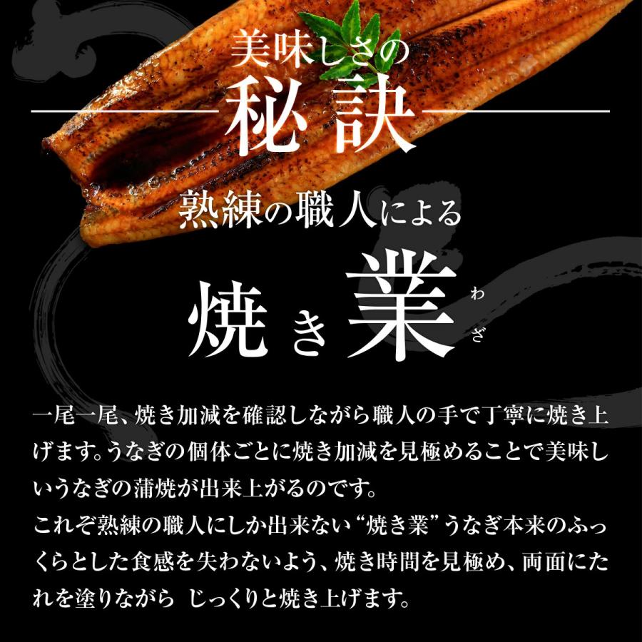 でしこ うなぎ 蒲焼き 国産 3尾 浜名湖産うなぎの蒲焼 手焼き鰻 送料無料 海鮮 鰻 ギフト 食べ物 父の日 お中元 土用の丑 お取り寄せ グルメ セット 爆買_9