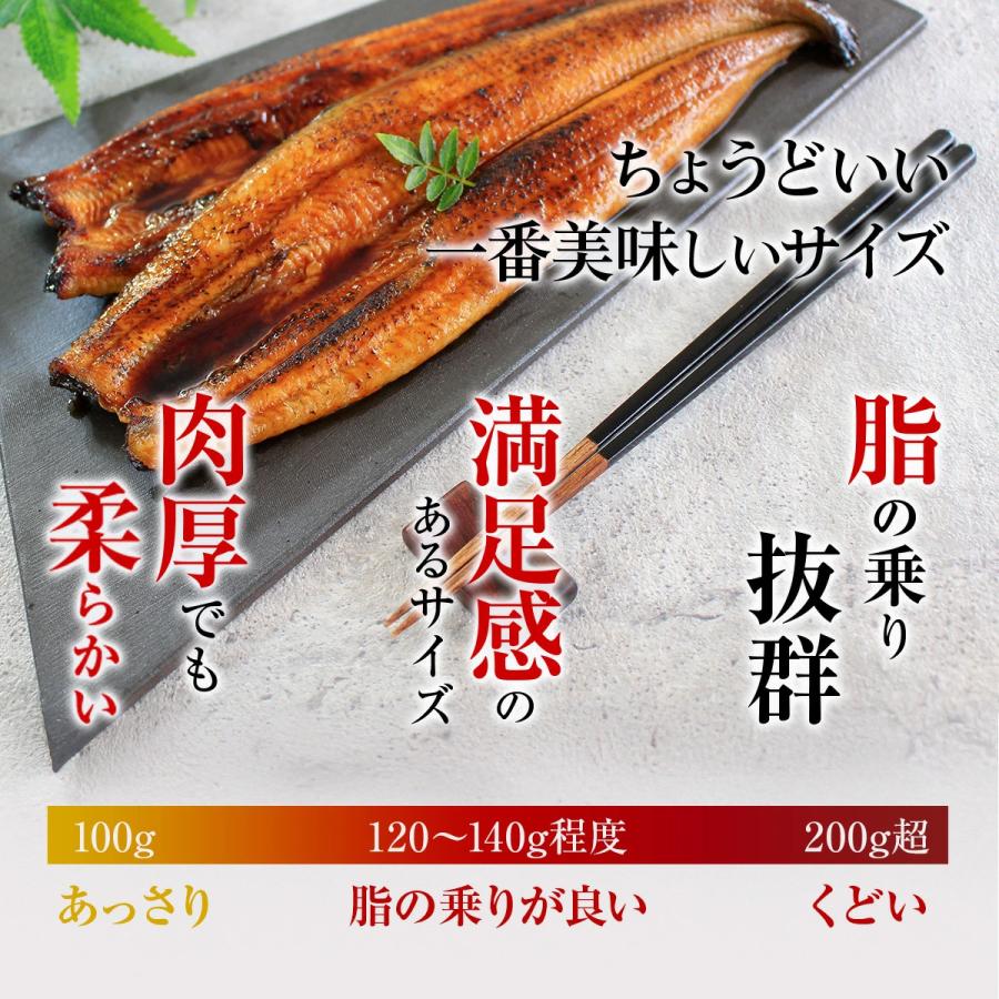でしこ うなぎ 蒲焼き 国産 5尾 浜名湖産うなぎ 手焼き鰻 海鮮 ギフト