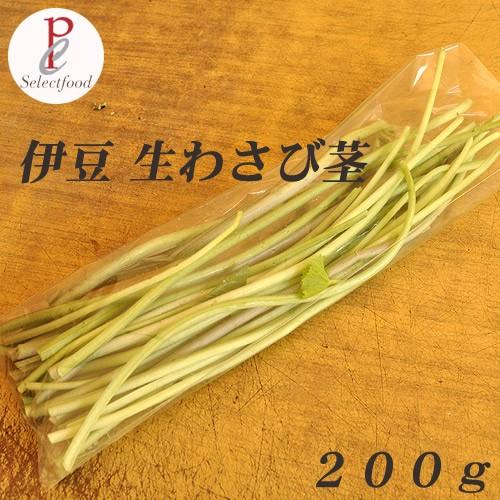 わさび生茎ワサビ 200g 伊豆天城産 : 静岡グルメ セレクトフード わさび生茎ワサビ 200g 伊豆天城産 : 静岡グルメ セレクトフード