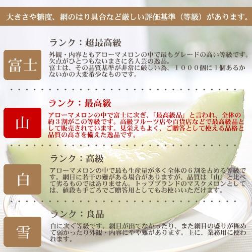 マスクメロン 静岡 アローマメロン 化粧箱入り1.4kg  1玉入り |  | 06