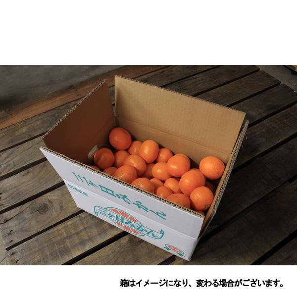 みかん 10kg 三ヶ日みかん青島 柑甘ファームの三ケ日青島みかん 送料