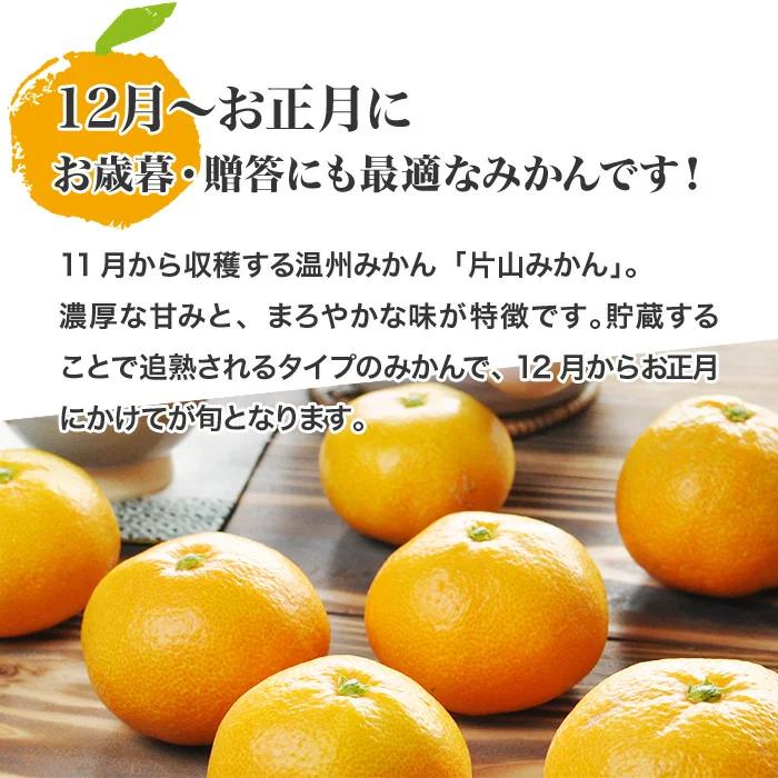 みかん 小玉 5kg くさかさんの片山みかん Sサイズ 静岡県浜松 送料無料
