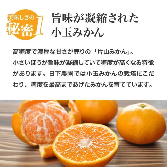 みかん 小玉 5kg くさかさんの片山みかん Sサイズ 静岡県浜松 送料無料