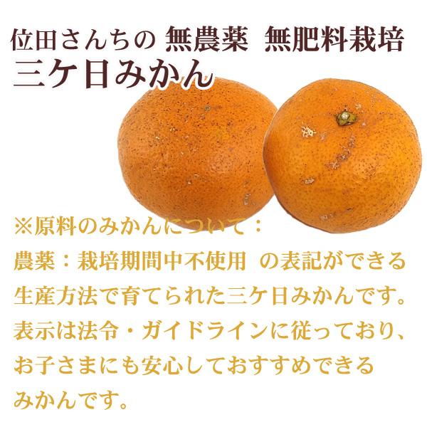 みかん 4kg 三ヶ日みかん 農薬不使用 南柑 無農薬 無肥料栽培 位田さん