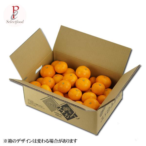みかん 4kg 三ヶ日みかん 農薬不使用 南柑 無農薬 無肥料栽培 位田さん