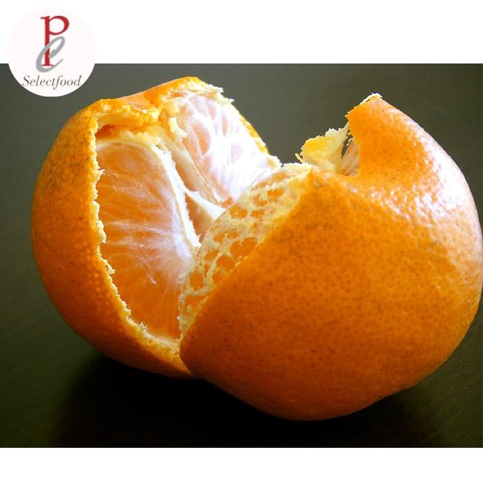 みかん 10kg 三ケ日みかん 青島 あおしま 10キロ 静岡 浜名湖 三ケ日