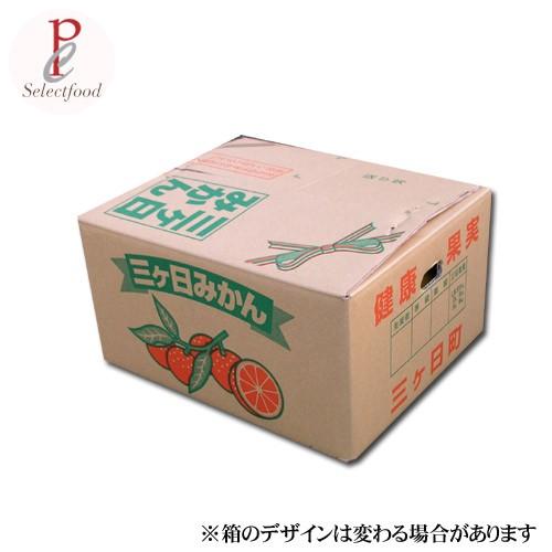 みかん 10kg 三ケ日みかん 青島 あおしま 10キロ 静岡 浜名湖 三ケ日