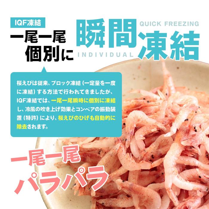 桜エビ 国産 生桜えび 静岡県 由比 蒲原 生桜エビ 500g さくらえび