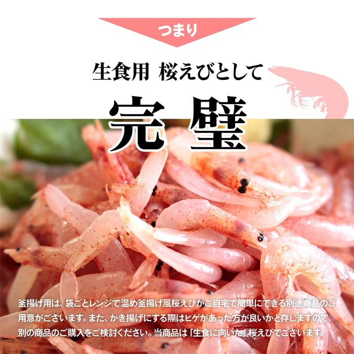 桜エビ 国産 生桜えび 静岡県 由比 蒲原 生桜エビ 500g さくらえび
