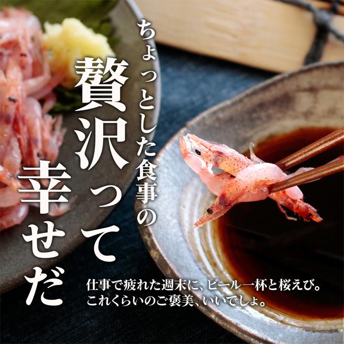桜エビ 国産 生桜えび 静岡県 由比 蒲原 生桜エビ 500g さくらえび