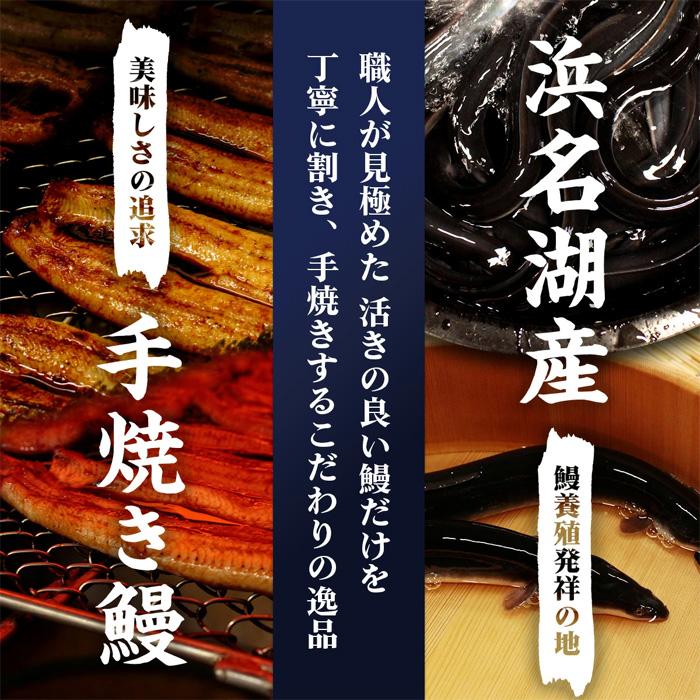 うなぎ 国産 蒲焼き 4尾 浜名湖産 手焼き鰻 食べ物 海鮮 お取り寄せ