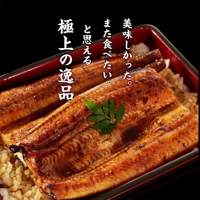 うなぎ 国産 蒲焼き 4尾 浜名湖産 手焼き鰻 食べ物 海鮮 お取り寄せ