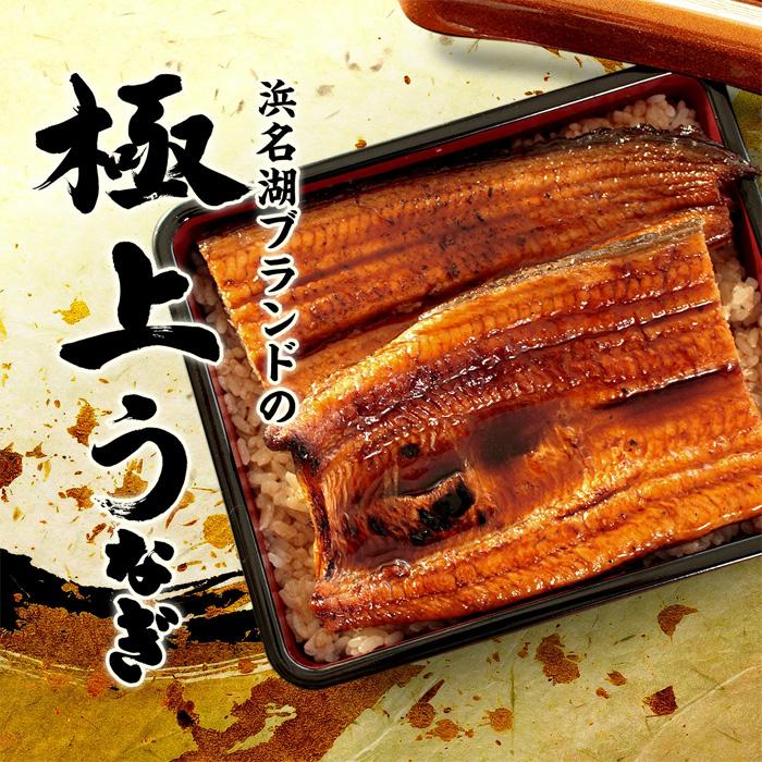 うなぎ 国産 蒲焼き 5尾 浜名湖産 手焼き鰻 食べ物 海鮮 魚 ギフト お