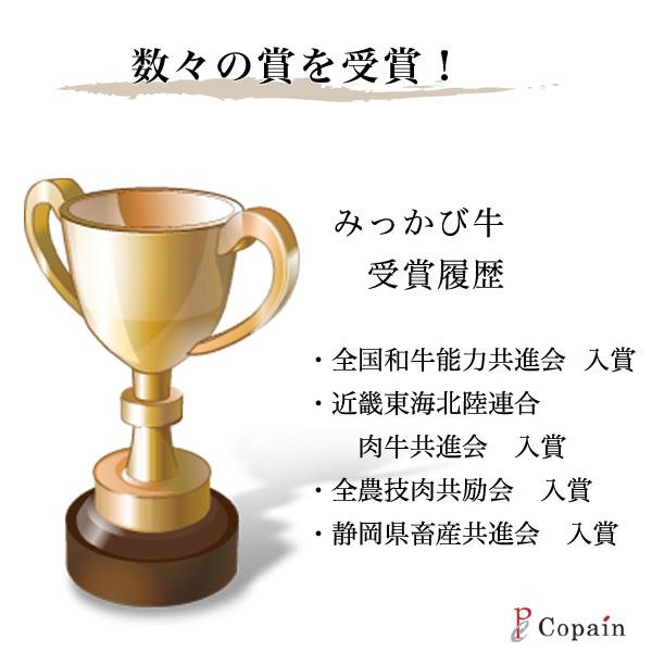 静岡三ケ日牛 ステーキ用ご贈答ギフト5枚入り Wssst1600p 静岡グルメ セレクトフード コパン 通販 Yahoo ショッピング