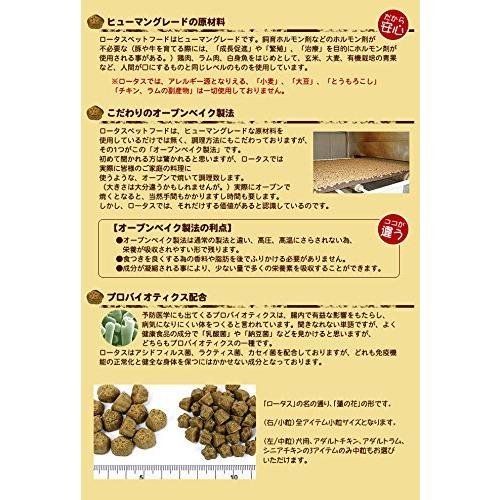 LOTUS シニア チキンレシピ 小粒 6kg | www.romanticbride.com.mx