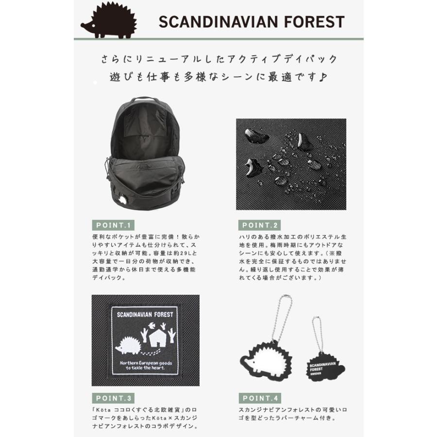 SCANDINAVIAN FOREST（スカンジナビアンフォレスト） 最大42% 5/21限定