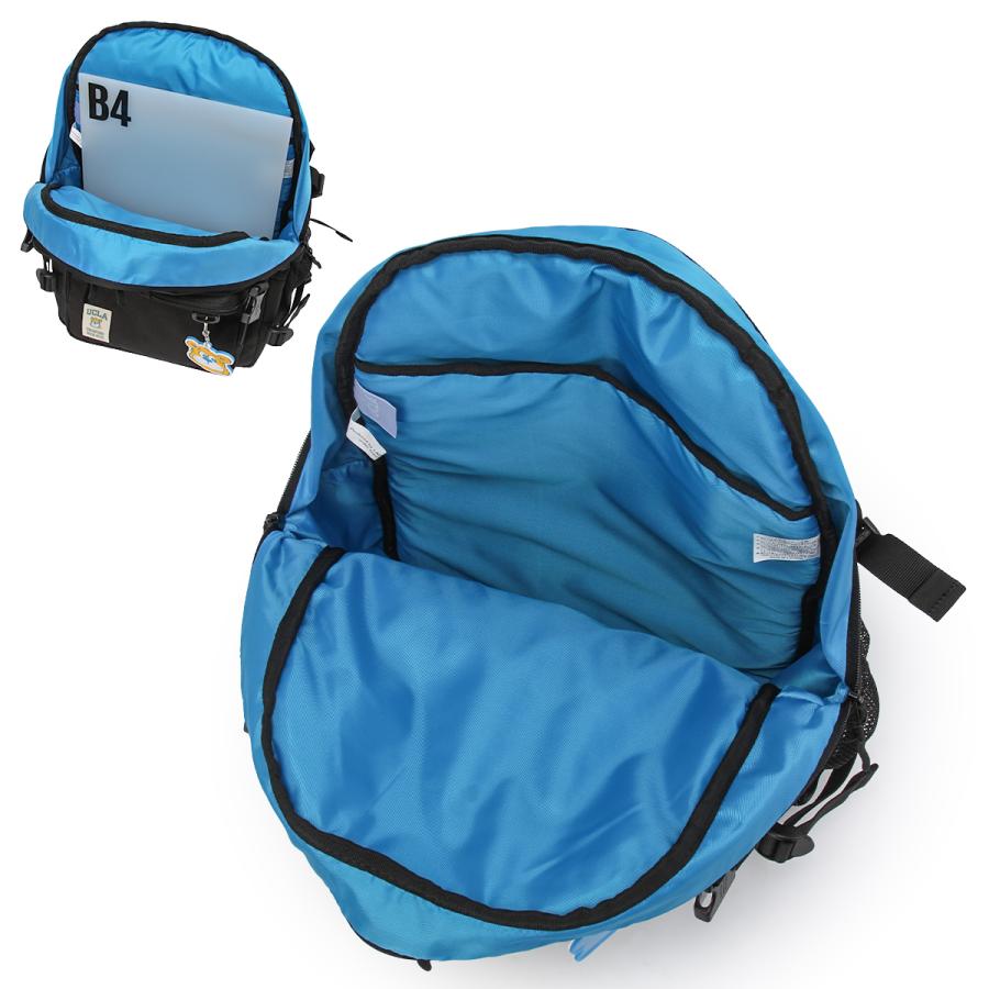 UCLA リュック UCLA デイバック リュック 「UCLA/ユーシーエルエー