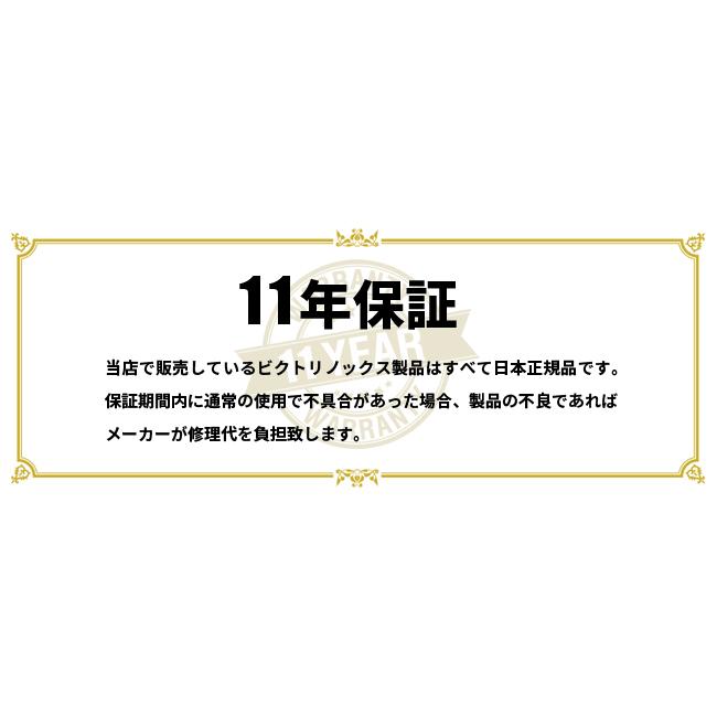 最大50% 8/7限定 ビクトリノックス アルトモント ビジネスリュック メンズ 通勤 出張 キャリーオン 26L B4 ノートPC VICTORINOX Altmont 602153 | VICTORINOX | 15