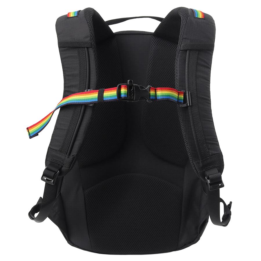 最大41% 2/25限定 チャムス スプリングデール リュック メンズ レディース ブランド A4 B4 20L CHUMS Spring Dale CH60-4099 | CHUMS | 08