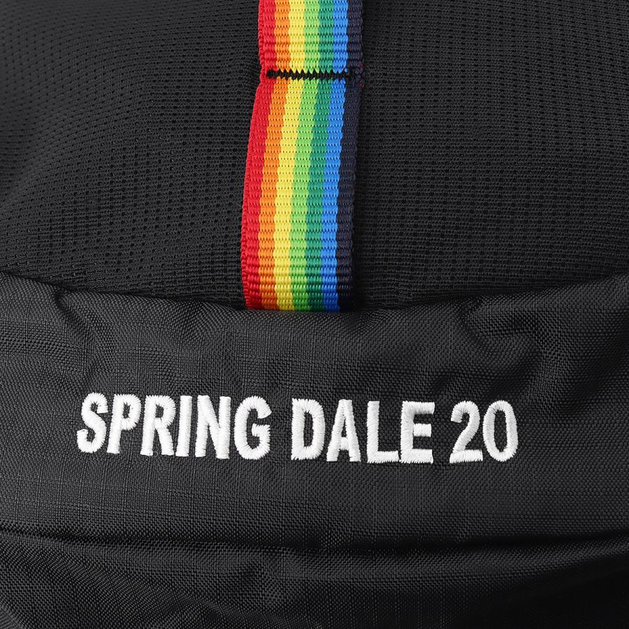 最大41% 2/25限定 チャムス スプリングデール リュック メンズ レディース ブランド A4 B4 20L CHUMS Spring Dale CH60-4099 | CHUMS | 10