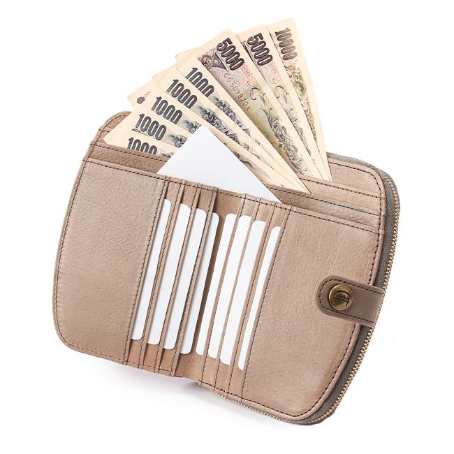 最大42% 1/13限定 クレドラン 財布 二つ折り財布 ミドル財布 レディース ブランド 本革 日本製 大容量 レザー 使いやすい CLEDRAN レイ CL3210 | CLEDRAN | 09