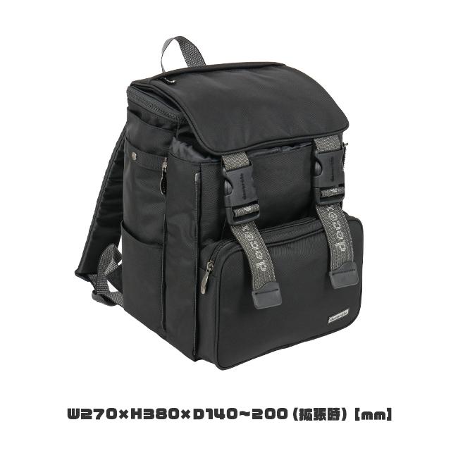 最大50% 9/8限定 デコレート ビスカ リュック 25L Lサイズ 拡張機能 A4 PC収納 レインカバー付き ランドセル型 小学生 通学 通塾 decorate DMS-083-L | decorate | 02