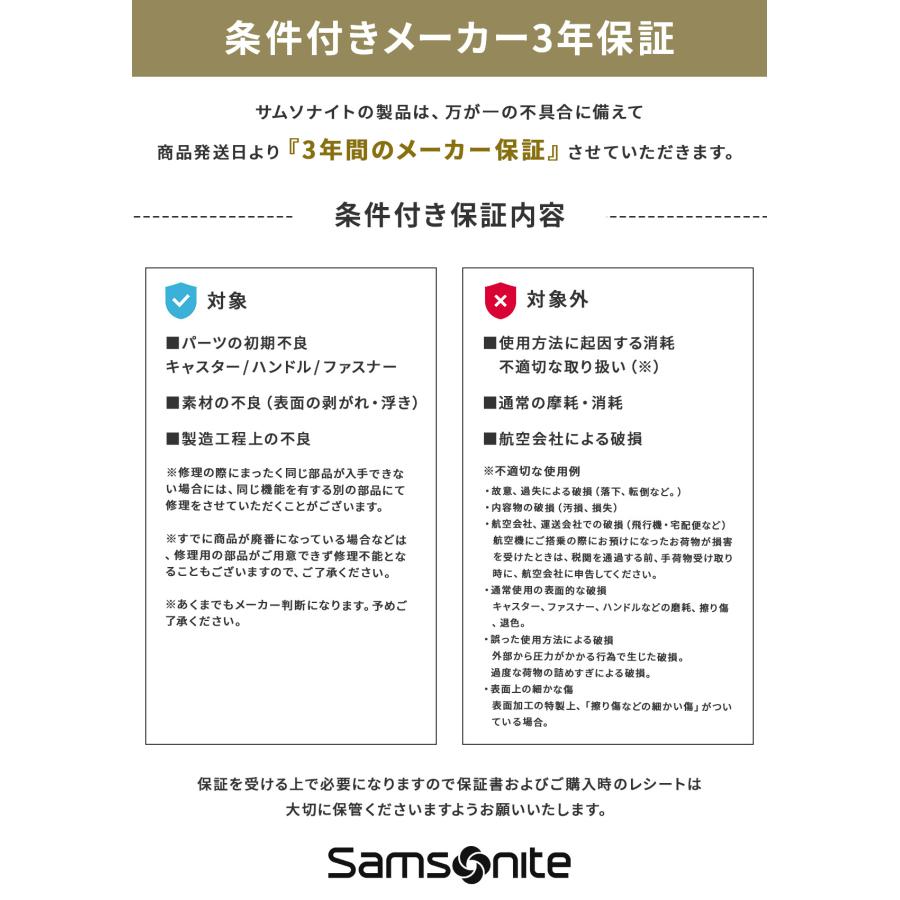 最大51% 9/15限定 サムソナイト ビジネスキャリー ソフトキャリーケース 機内持ち込み Sサイズ 27L ヴァイゴン2 ローリングトート Samsonite Vigon 2 gu5-09007 | Samsonite | 16