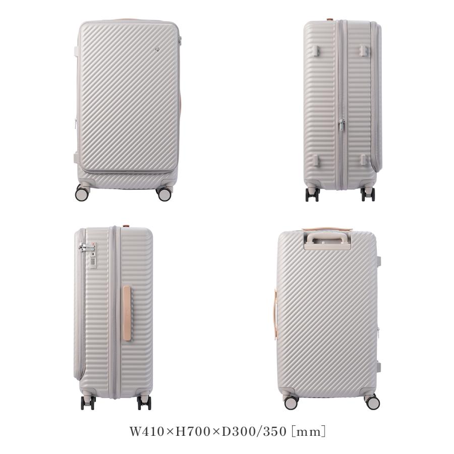 HaNT 最大50% 1/15限定 エース ハント ココント スーツケース Mサイズ