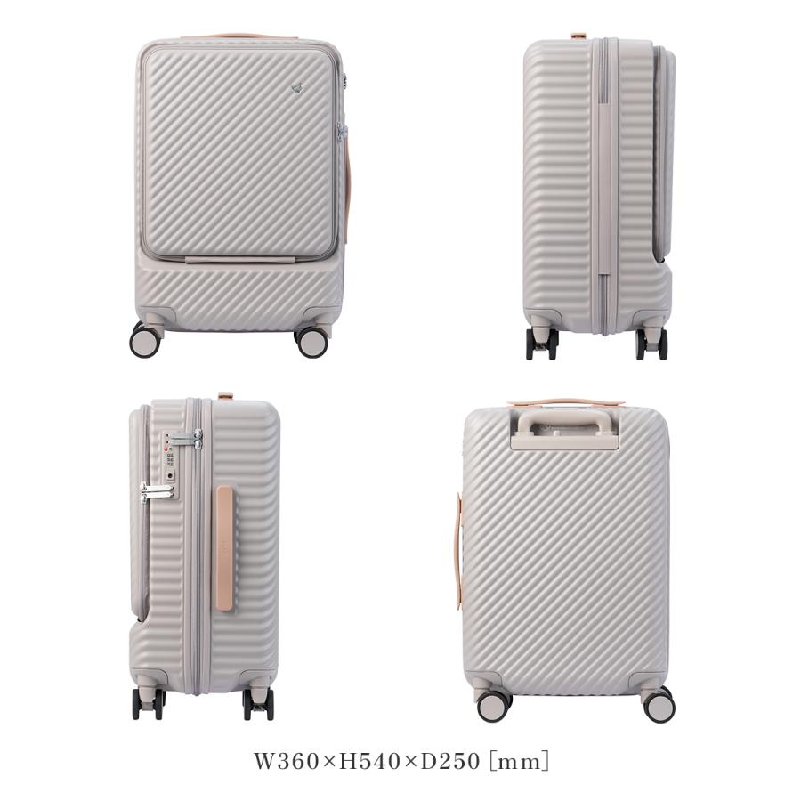 HaNT エース ハント ココント スーツケース 機内持ち込み Sサイズ 34L
