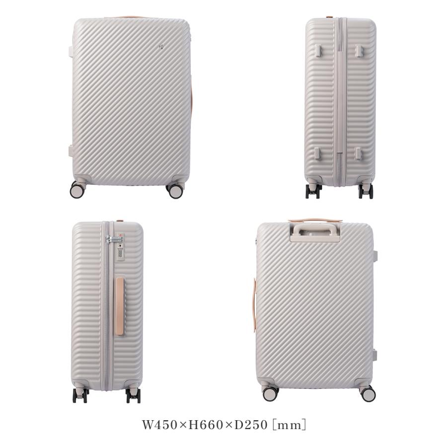 HaNT 最大51% 1/13限定 エース ハント ココント スーツケース Mサイズ
