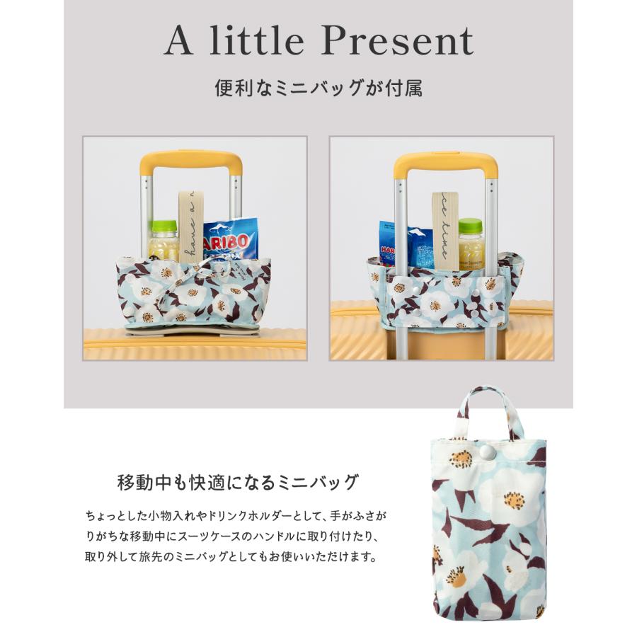 HaNT エース ハント ココント スーツケース Mサイズ Lサイズ 75L