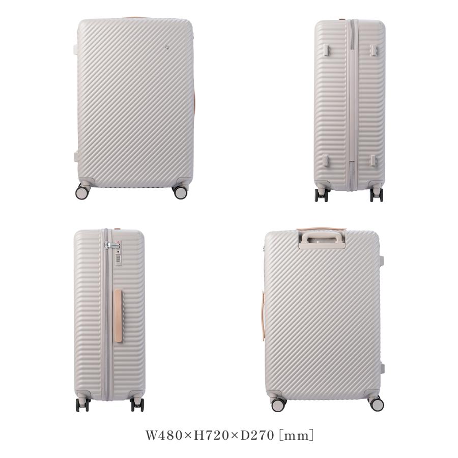 HaNT 最大50% 1/15限定 エース ハント ココント スーツケース Mサイズ