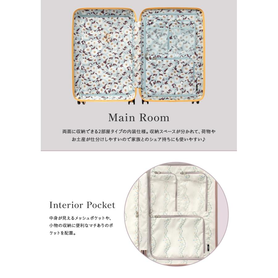 HaNT 最大49% 10/15限定 エース ハント ココント スーツケース Mサイズ