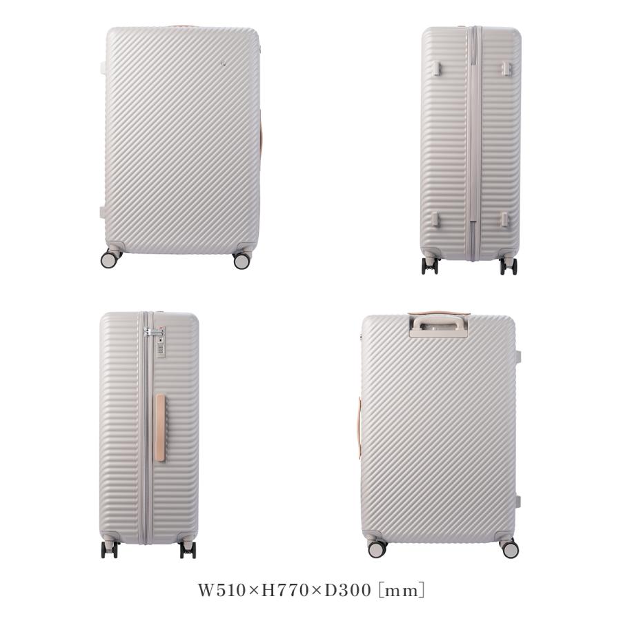 HaNT 最大51% 1/13限定 エース ハント ココント スーツケース Lサイズ