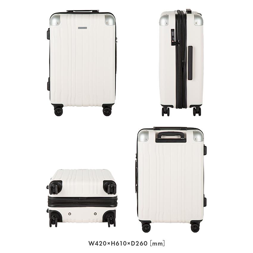 hiromichi nakano（ヒロミチナカノ） 最大51% 3/3限定 スーツケース M