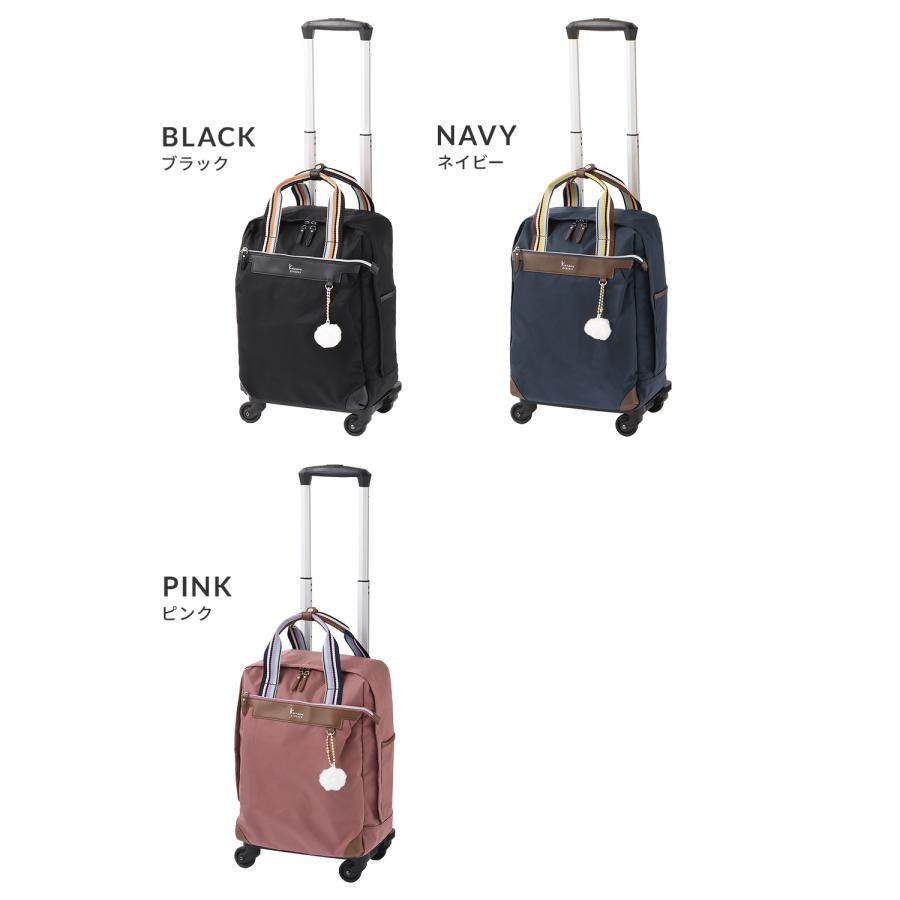 最大41% 1/5限定 カナナプロジェクト コレクション ソフトキャリーケース スーツケース 機内持ち込み SSサイズ 22L 軽量 小型 小さめ VYG アムローズTR 15246 | Kanana Project | 05