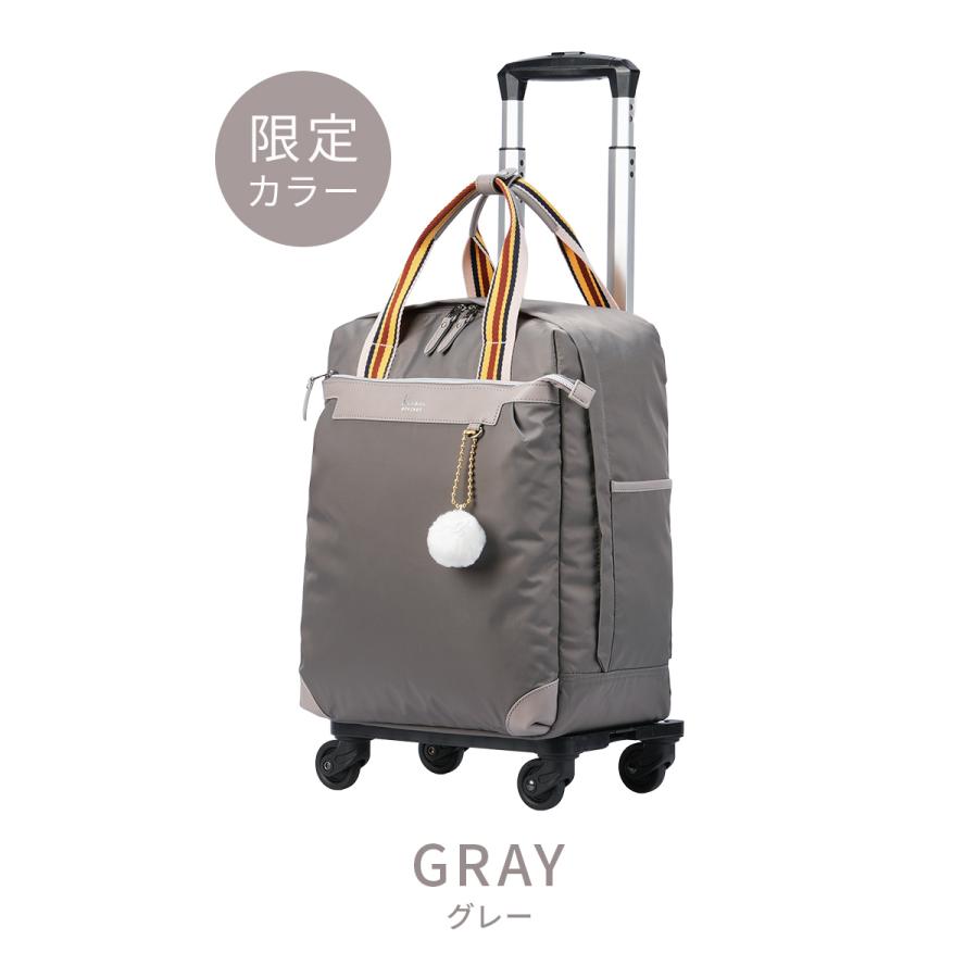 最大41% 1/5限定 カナナプロジェクト コレクション ソフトキャリーケース スーツケース 機内持ち込み SSサイズ 22L 軽量 小型 小さめ VYG アムローズTR 15246 | Kanana Project | 06