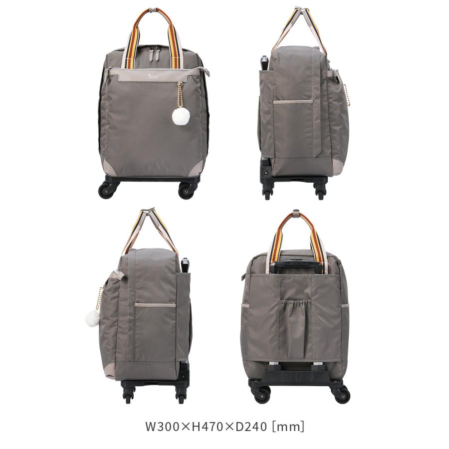 最大41% 1/5限定 カナナプロジェクト コレクション ソフトキャリーケース スーツケース 機内持ち込み SSサイズ 22L 軽量 小型 小さめ VYG アムローズTR 15246 | Kanana Project | 07