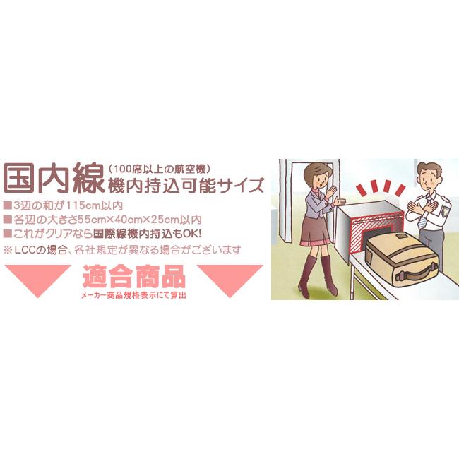 最大42% 3/8限定 25年保証 キャビンゼロ クラシック リュック 36L 大容量 機内持ち込み 旅行 バックパック メンズ レディース  CABIN ZERO CLASSIC 36 | cabin zero | 21