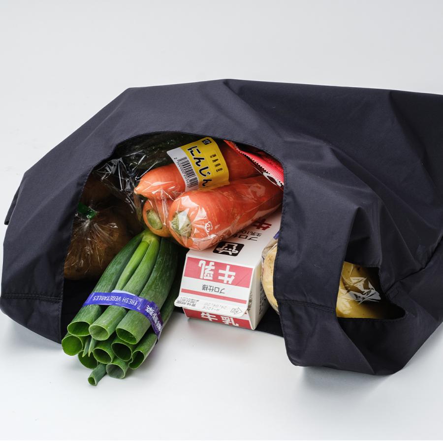 最大40% 4/1限定 アンインセイン Pシリーズ ショルダーバッグ トートバッグ エコバッグ メンズ レディース ブランド 25L ANINSANE P SERIES P02 | ブランド登録なし | 07