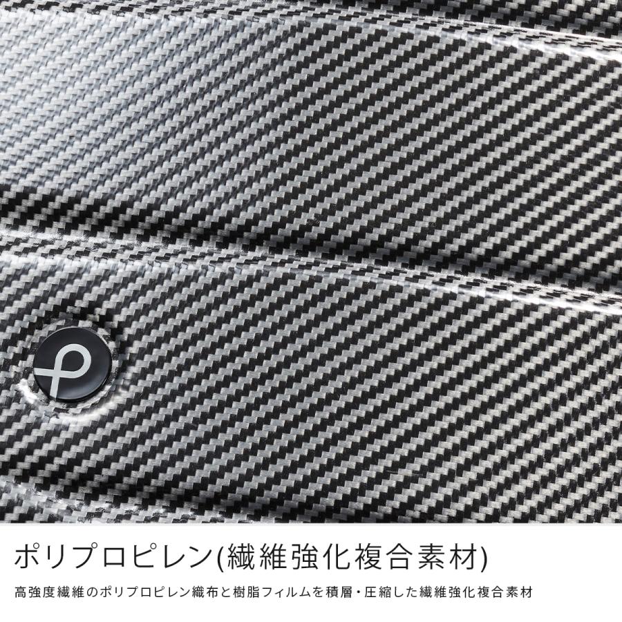 最大51% 2/7限定 エース プロテカ エアロフレックスDX2 スーツケース Lサイズ LL XL 100L 大型 大容量 軽量 静音 キャリーケース PROTECA Aeroflex DX2 01524 | ProtecA | 09