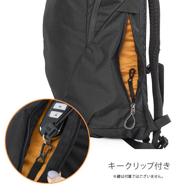 最大51% 3/13まで 日本正規品 グレゴリー リュック 20L メンズ レディース ブランド 通学 通勤 軽量 バックパック デイパック ルーヌ20 GREGORY RHUNE20 | GREGORY | 11