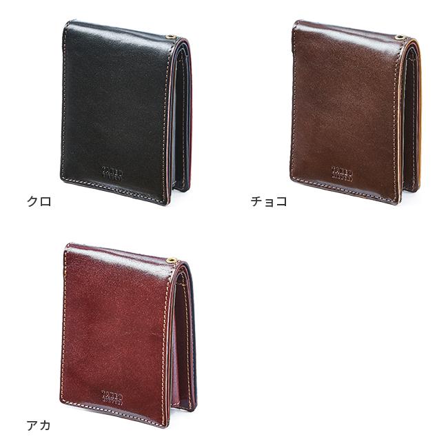 ニホントカゲ 新入荷🆕 【ヒガシニホントカゲ 黒化個体群】 居そうで中々居ない