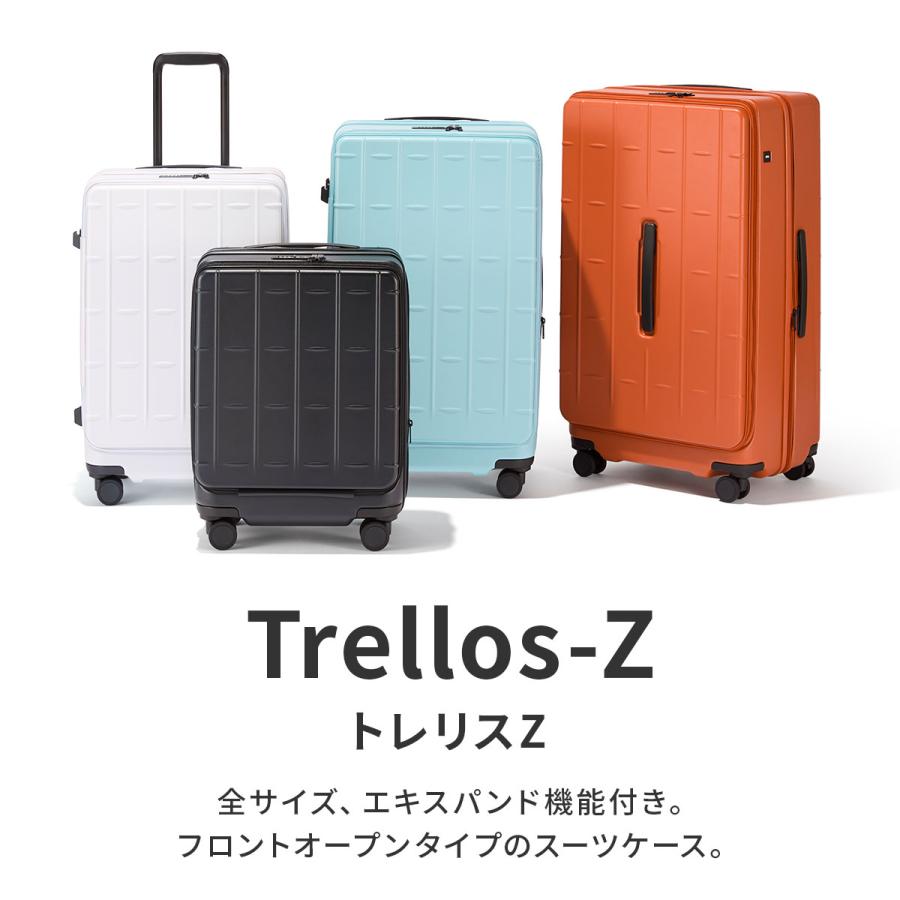 マトリックス大サイズ　1本のみ ace. TOKYO LABEL 最大51% 7/29限定 エース トレリスZ スーツケース 片