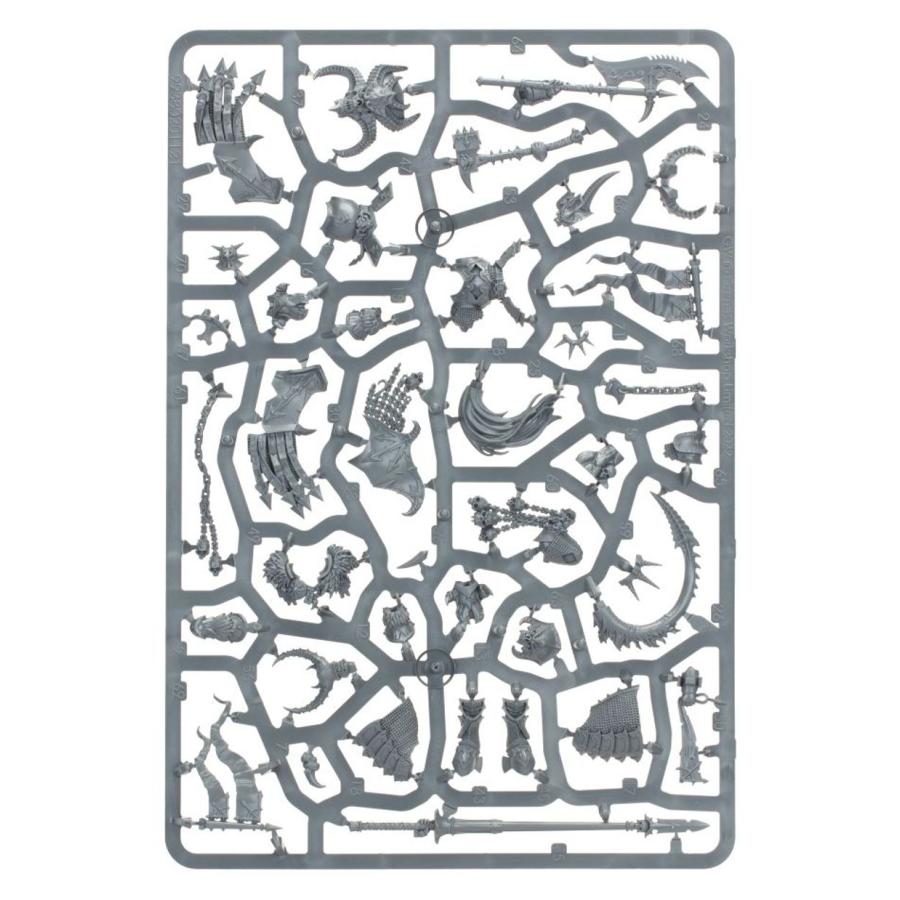 第一君主の懐刀エターナスWarhammer Age of Sigmar 未開封 imgrc0075322561.jpg